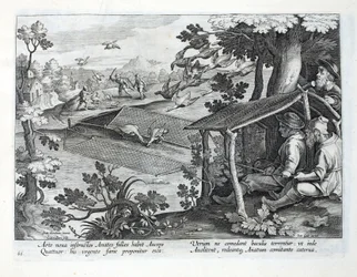 Een nieuwe methode voor het jagen op eenden, illustratie uit 